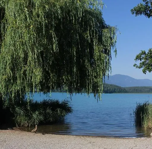 Guest house Haus Aschgan 3*